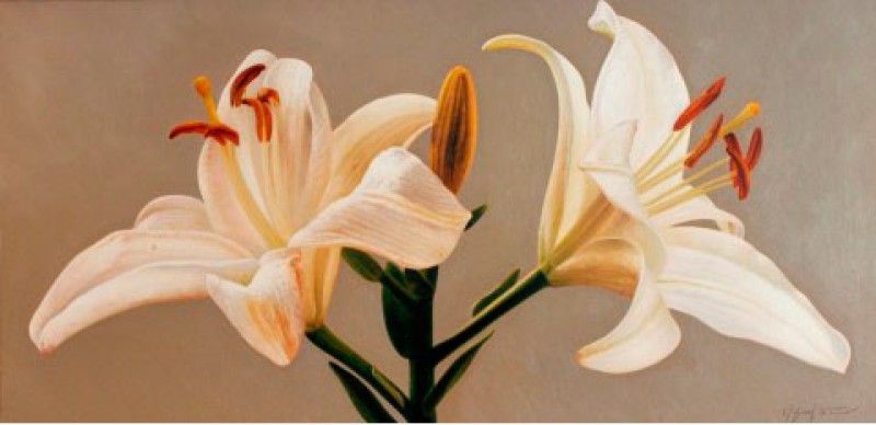 Liliums