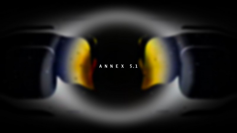 ANNEX 5.1 (Dystopian Digital State II)